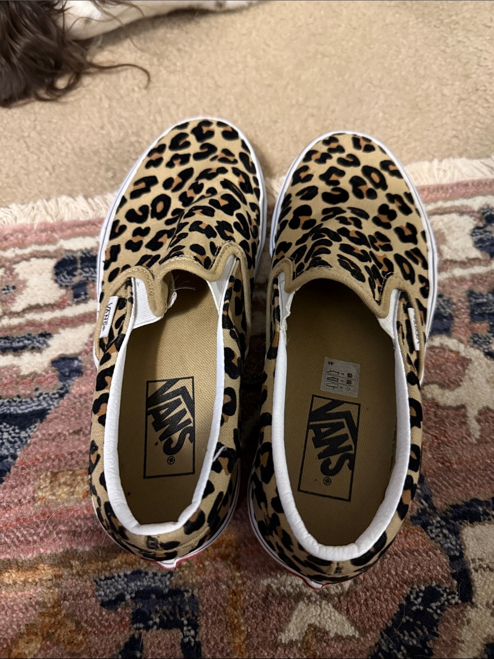 Vans Women’s Slip-On Sneakers in Leopard Print - Tan/Black - Picture 2 of 7